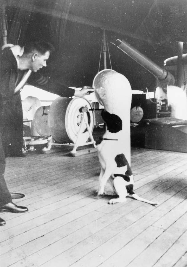 Judy sits up and listening on the deck of a ship in front a navy officer.