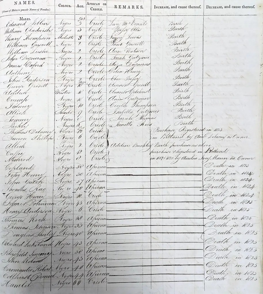 A handwritten list of enslaved people.