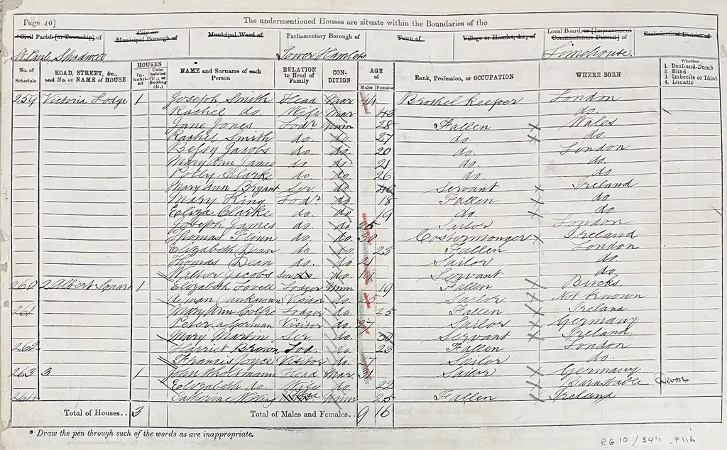 A list of names from a the 1871 Census. In the occupation column are those marked as 'fallen'.