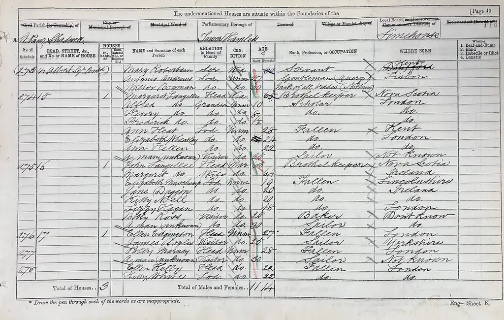 A list of names from a the 1871 Census. In the occupation column are those marked as 'fallen'.