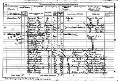 A table of names and each individual's information from a census, including Sophia Duleep Singh.