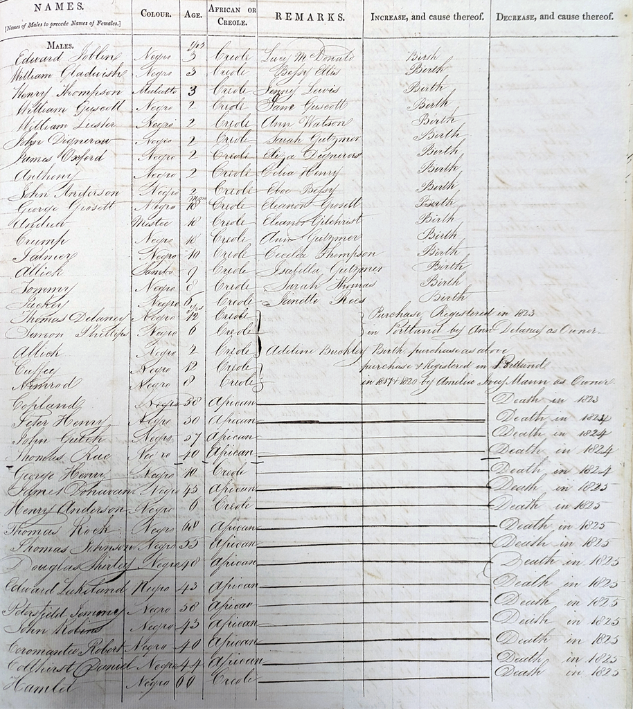 A handwritten list of enslaved people.