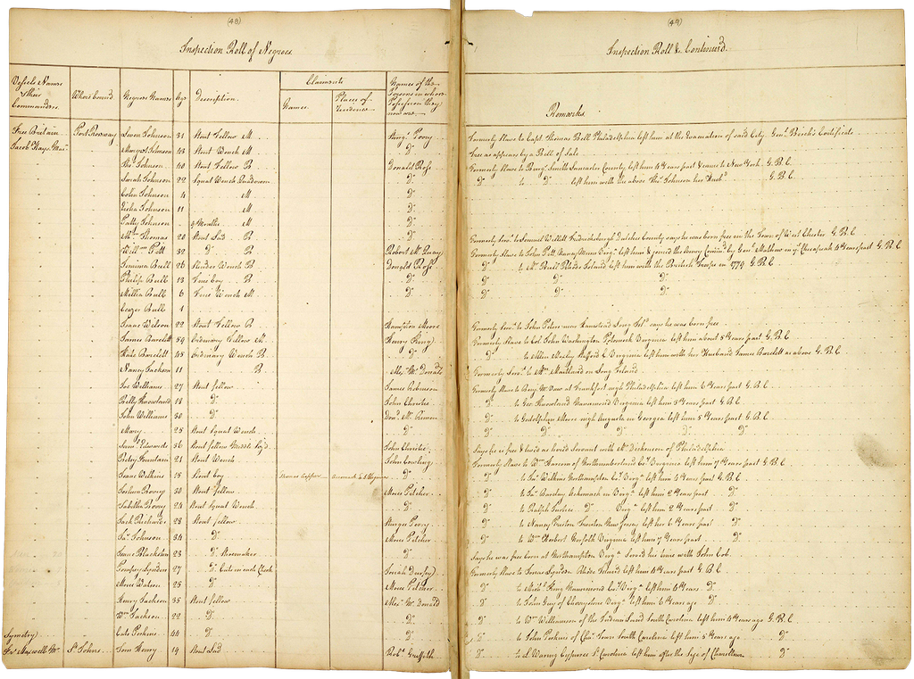 Table split headed 'Inspection Roll of Negroes', with columns including name, age and 'Remarks'.