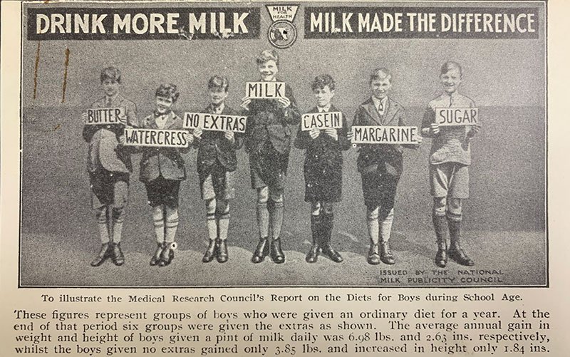 Photograph of boys holding up signs listing different foods. The boy with the milk sign is tallest.