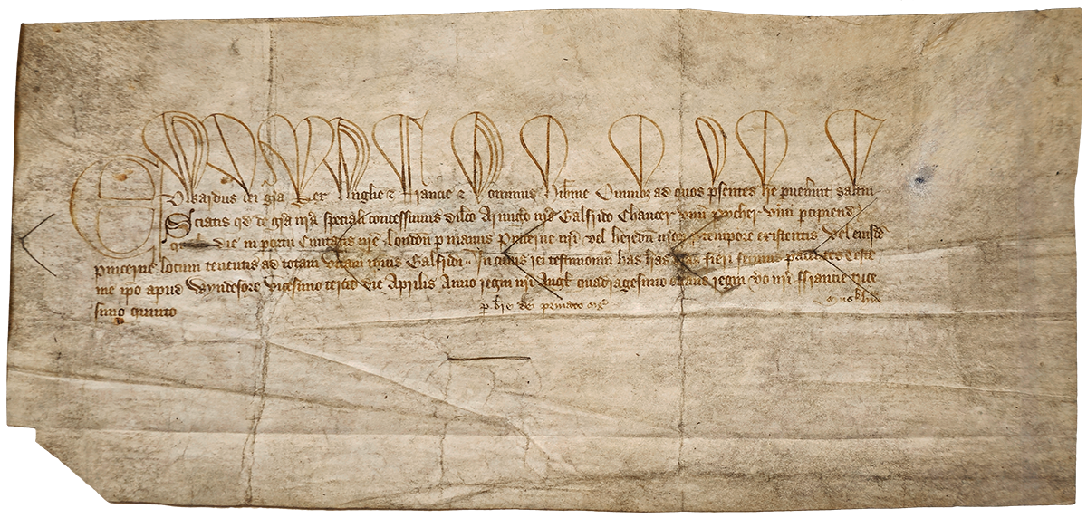 A wide yellowed sheet with five lines of Medieval Latin written in brown ink.