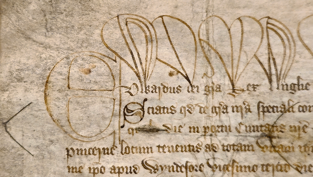 Close up of the document's top line, with decorative ascenders – elaborate, stretched first letters.