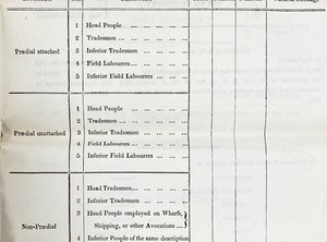 Printed form listing 'Classes' such as 'Field labourers' and space to add 'Value in Sterling'.