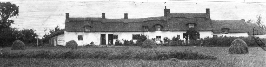 A row of thatched white cottage with hay bales dotted outside.