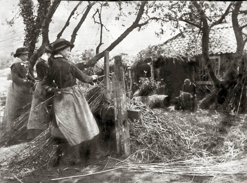 Three women working outside a cottage all standing. A man, head bent, head sits in the distance.