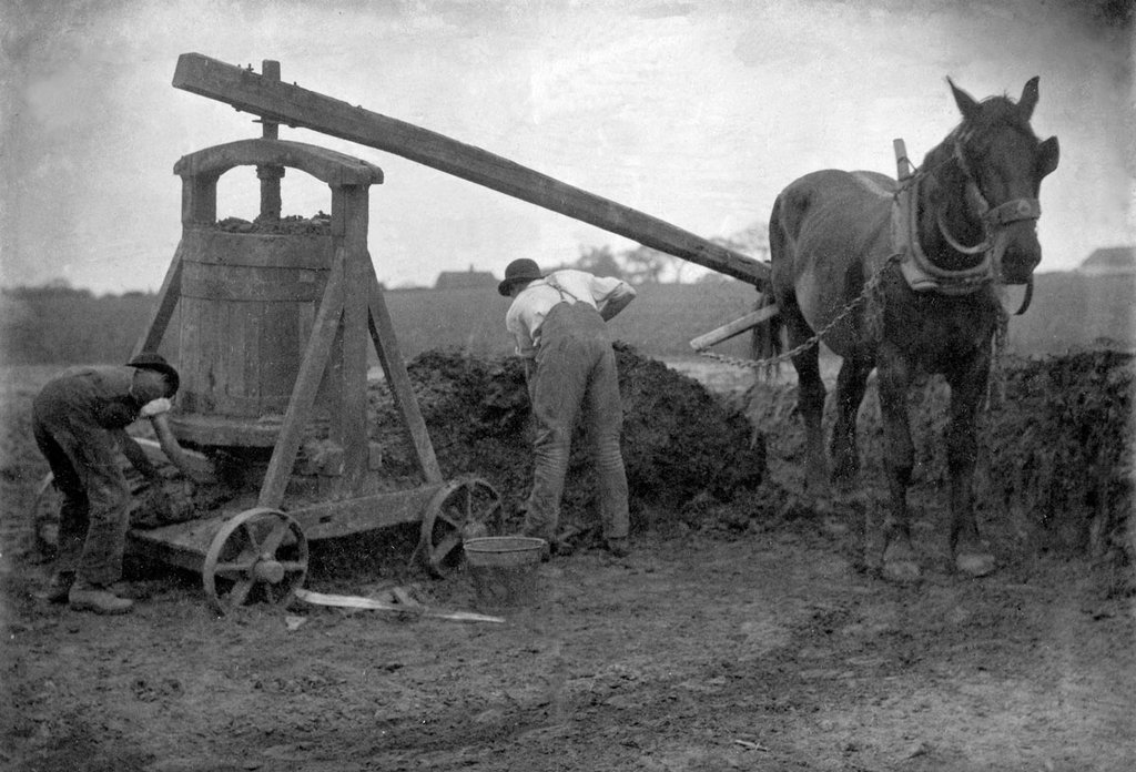 Two men working in a farm field with their back to the camera, a horse standing besides them.