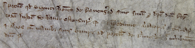 Around three lines of writing in medieval Latin in brown ink.