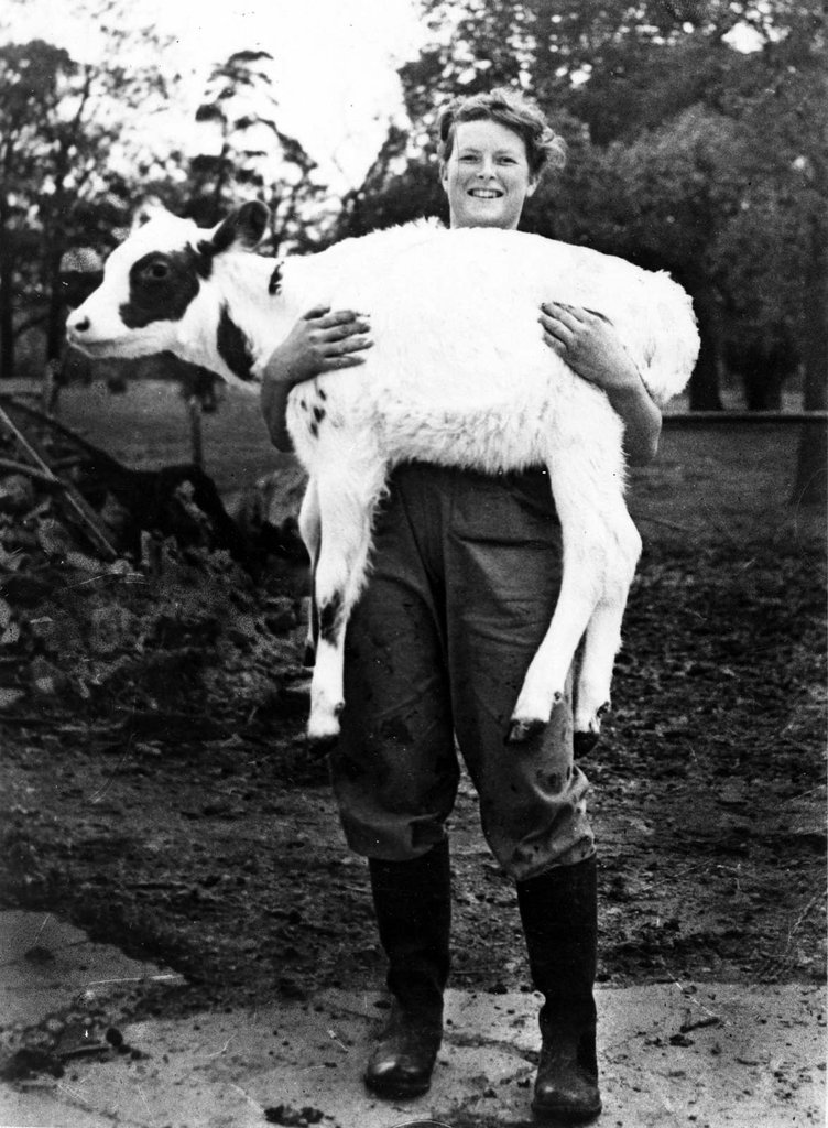 A photograph of a smiling women holding a calf.