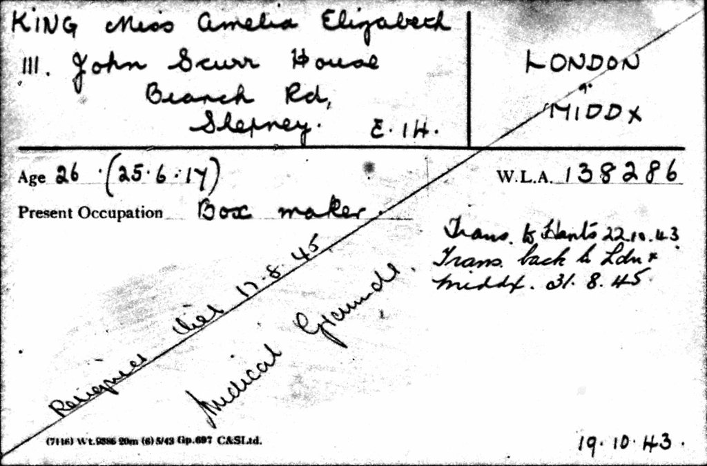 An index card with handwritten text detailing information on 'Amelia King'.